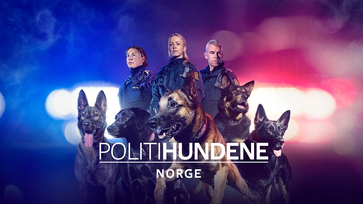 police dogs