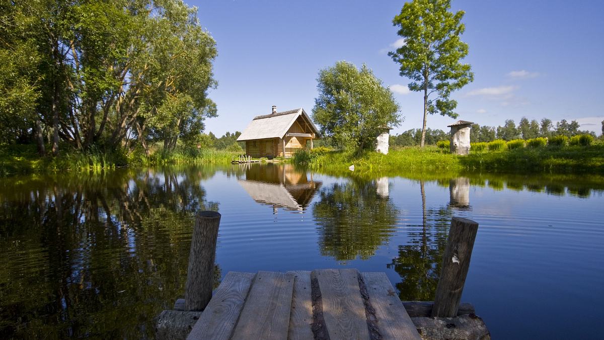 home rescue - wohnen in der wildnis