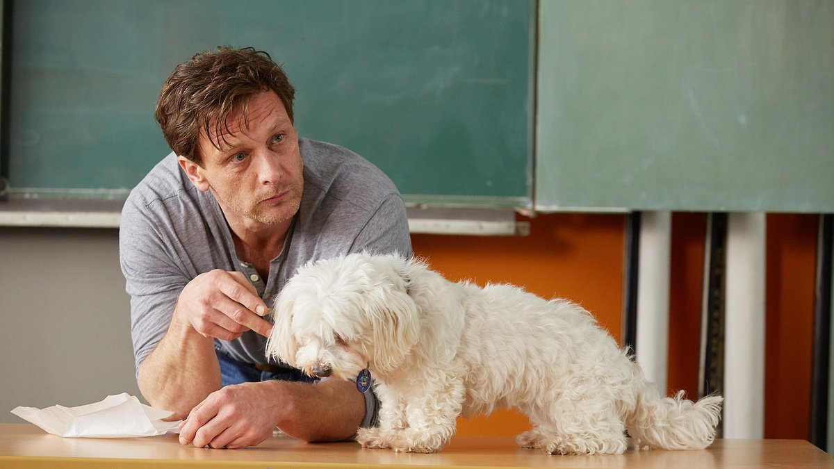 der lehrer