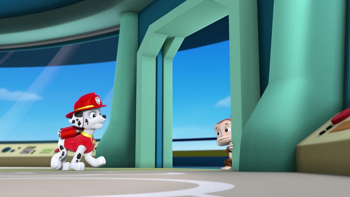 paw patrol - helfer auf vier pfoten