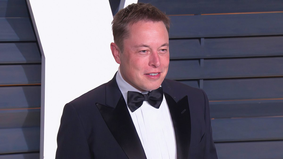 elon musk - genie und wahnsinn