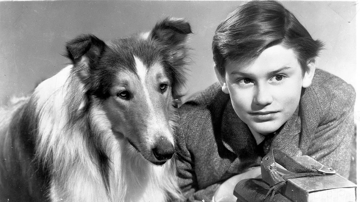 lassie - heimweh