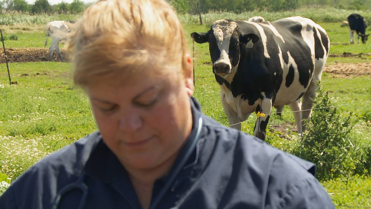 der unglaubliche dr. pol