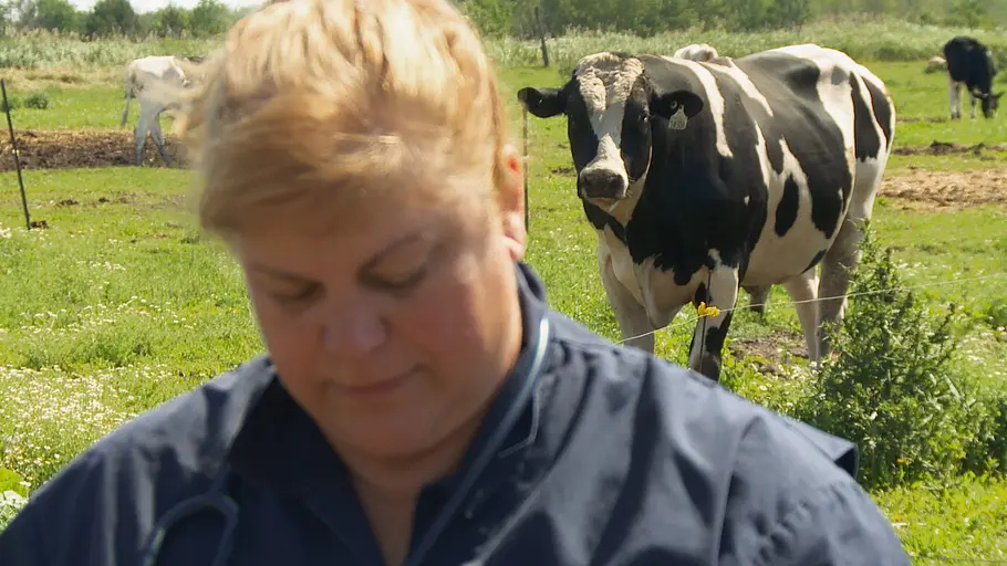 Der unglaubliche Dr. Pol der unglaubliche dr. pol