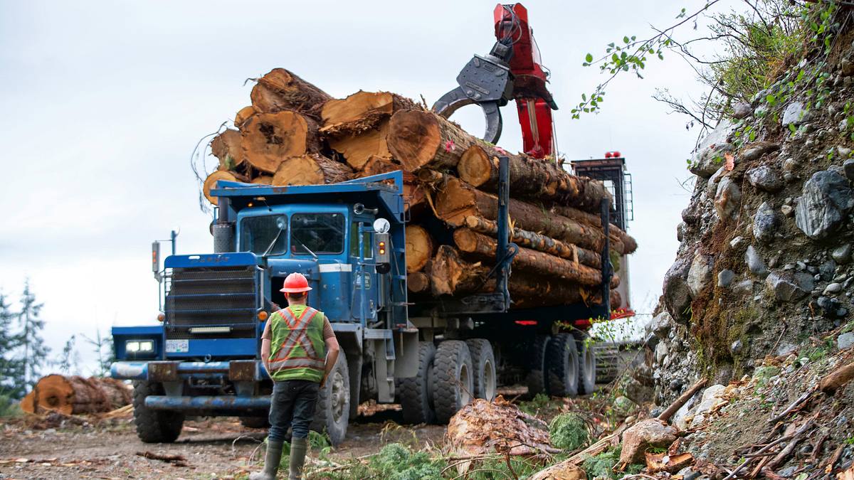 The Last Woodsmen - Holzfäller am Limit the last woodsmen - holzfäller am limit