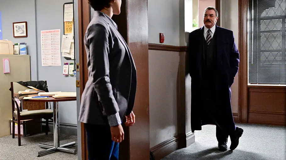 blue bloods - crime scene new york