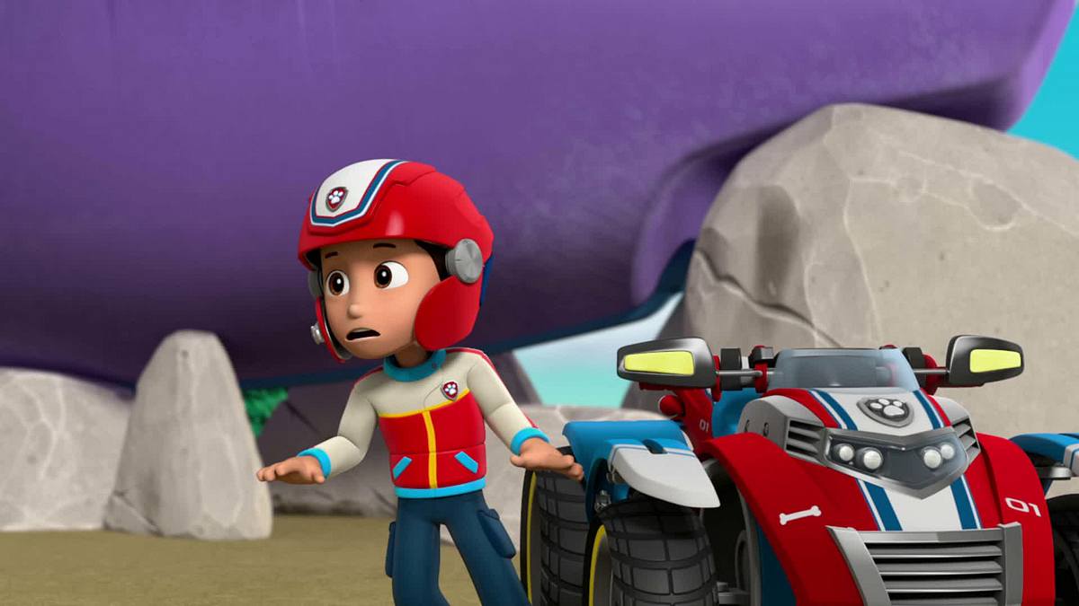 paw patrol - helfer auf vier pfoten