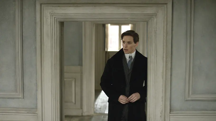 The Danish Girl the danish girl