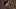 Video Platzhalter Video Platzhalter