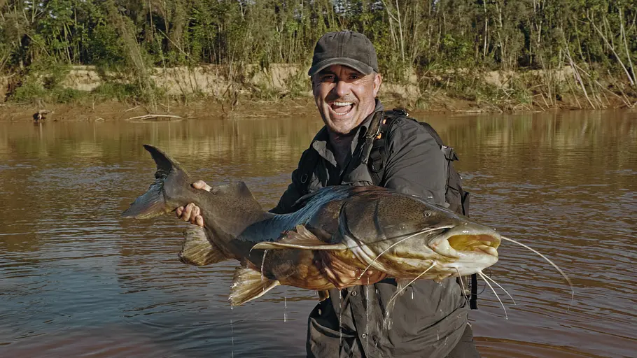 Giganten unter Wasser - Riesenfischen auf der Spur giganten unter wasser - riesenfischen auf der spur