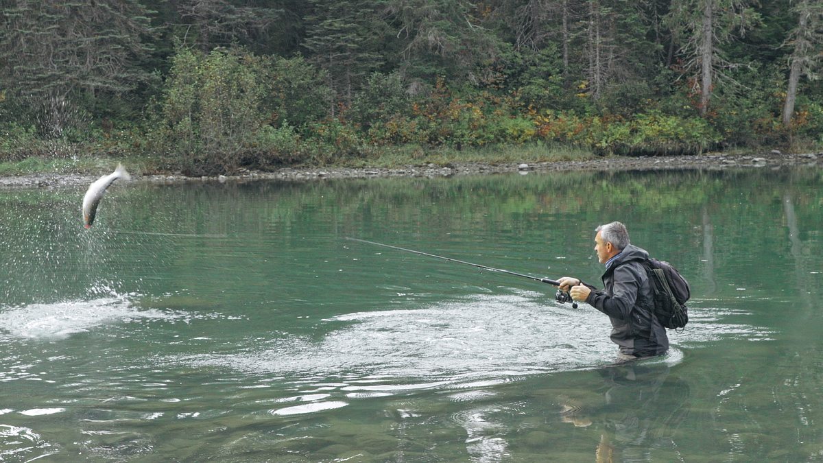 giganten unter wasser - riesenfischen auf der spur