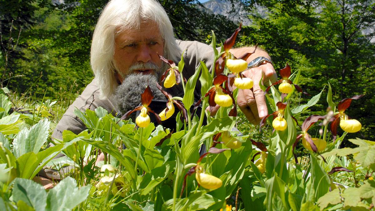 unsere alpen / universum