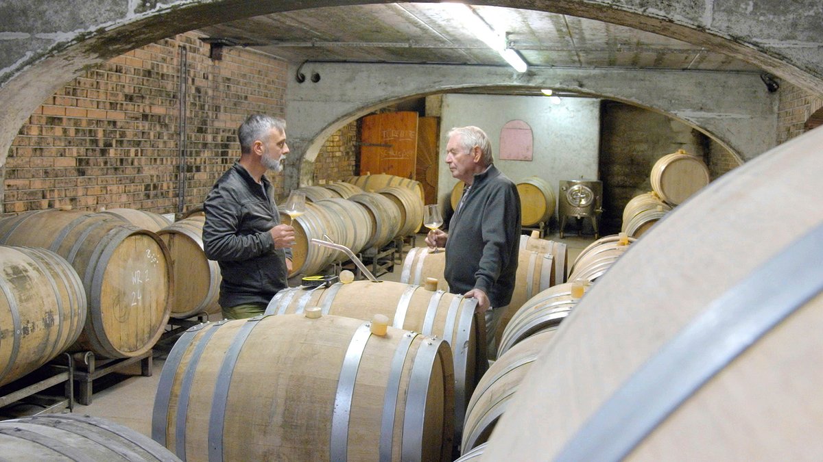 der große weinskandal