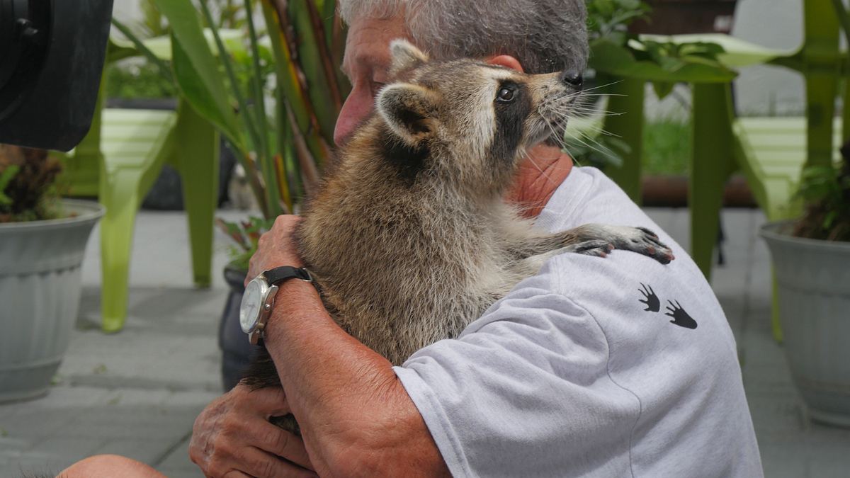 tierische freundschaften