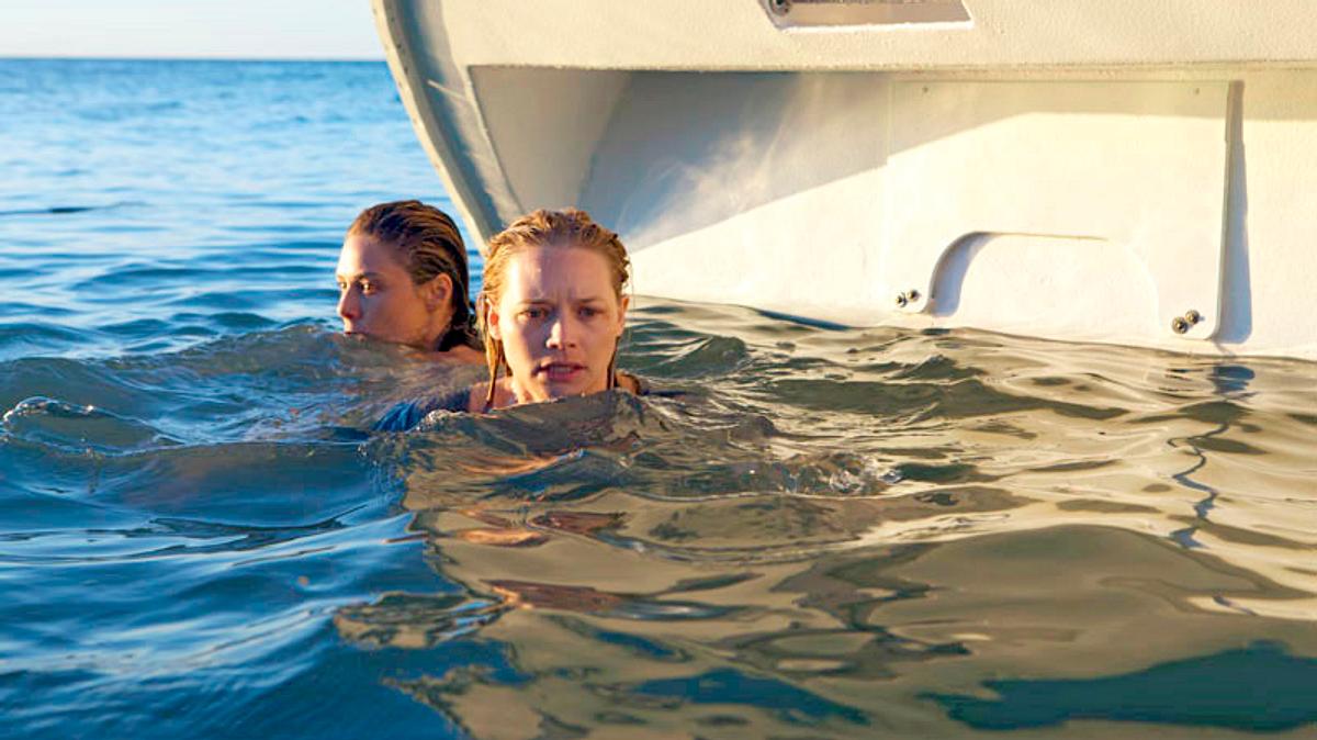 the reef - schwimm um dein leben