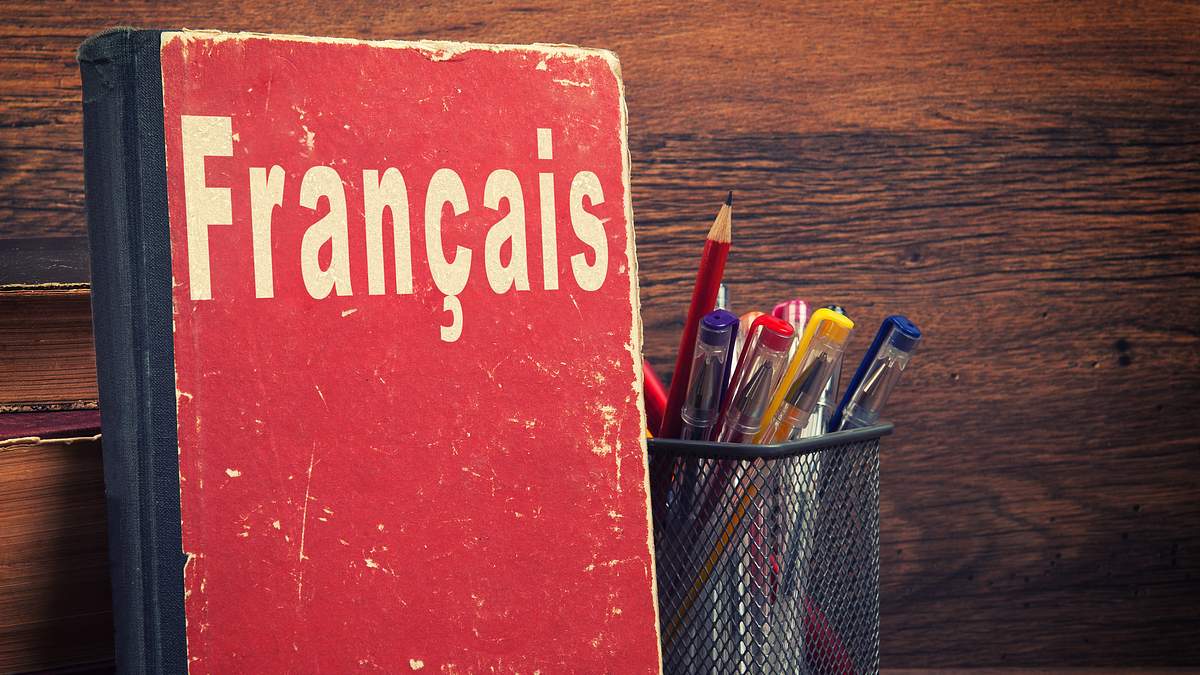 viens jouer avec nous: französisch für kinder