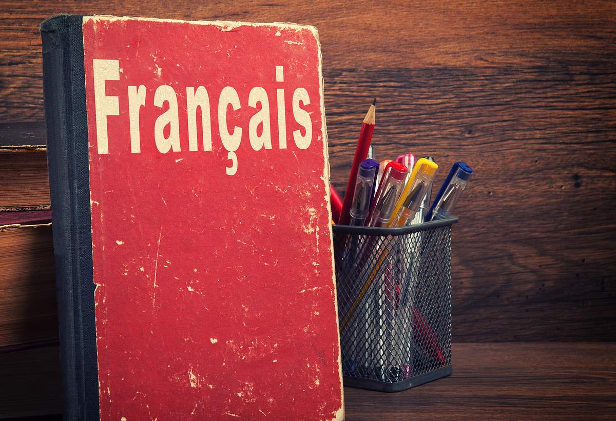 Viens jouer avec nous: Französisch für Kinder viens jouer avec nous: französisch für kinder