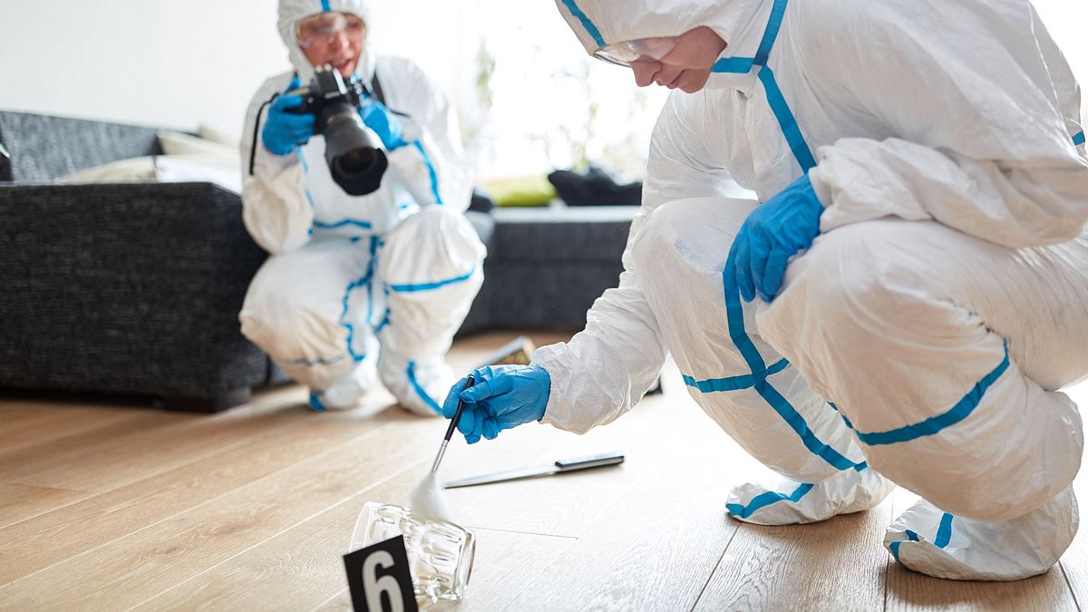 forensics: the real csi