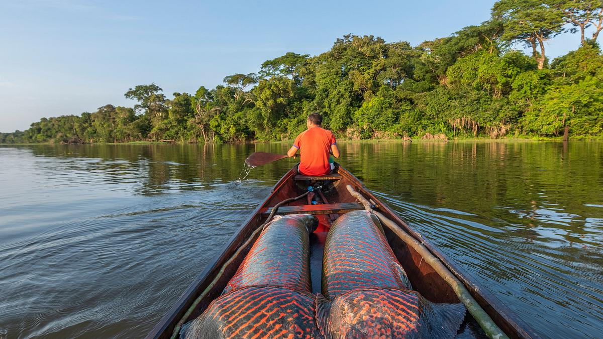 expedition amazonas