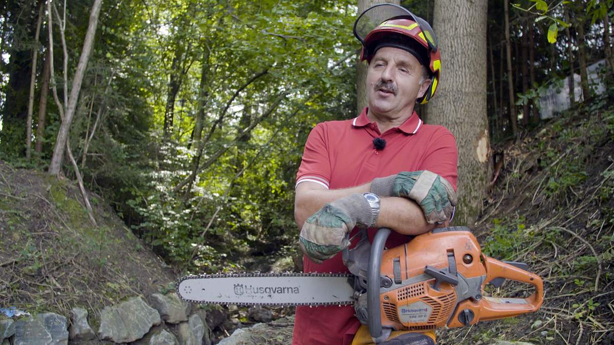 mit mut und motorsäge - baumkletterer im extrem-einsatz