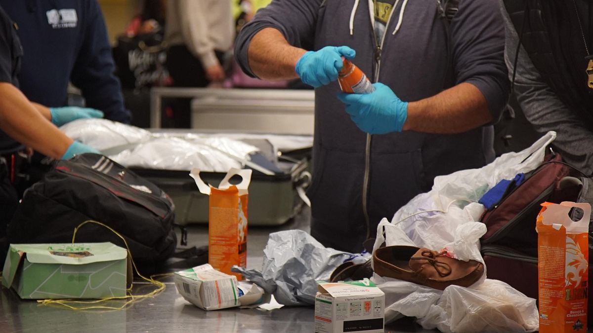 flughafen new york - kampf den schmugglern