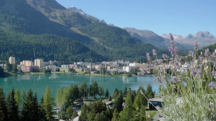 Der grüne Fluss der Alpen: Der Inn der grüne fluss der alpen: der inn