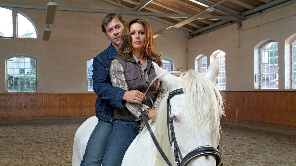 hindernisse des herzens