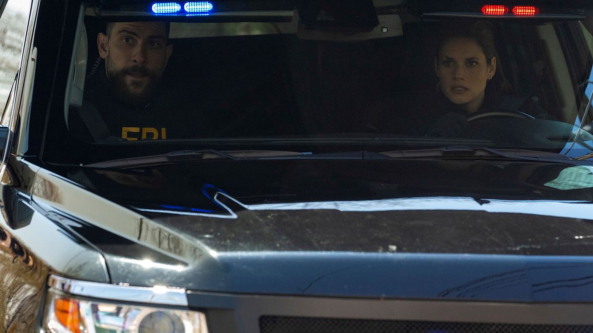 fbi: special crime unit