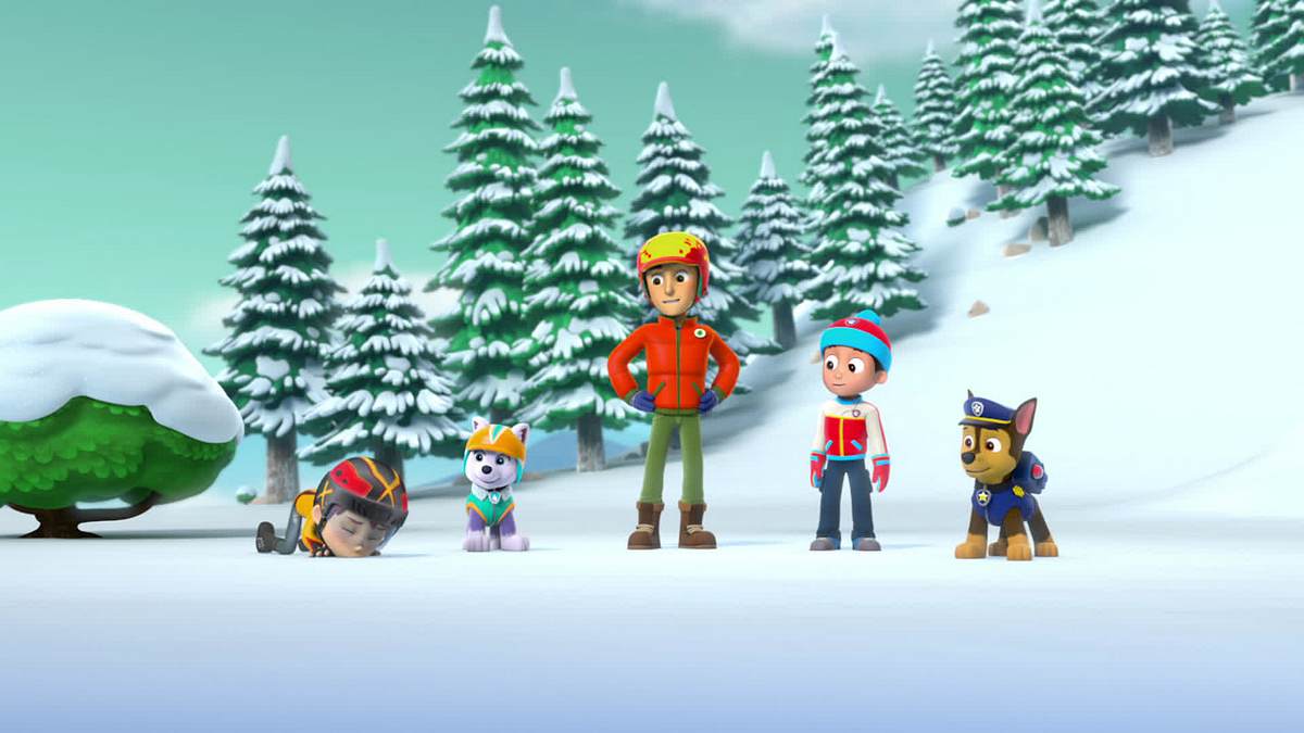 paw patrol - helfer auf vier pfoten