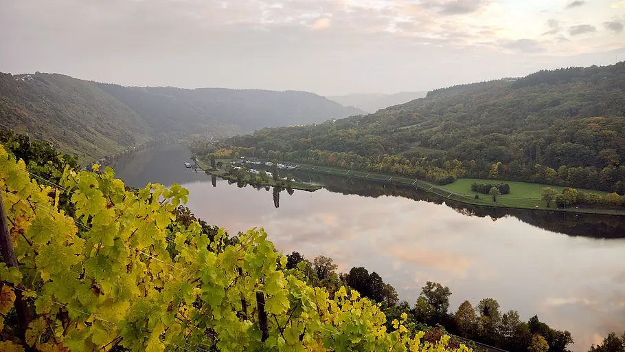 Der Hunsrück: Das Gebirge des scheinbar nie endenden Waldes der hunsrück: das gebirge des scheinbar nie endenden waldes