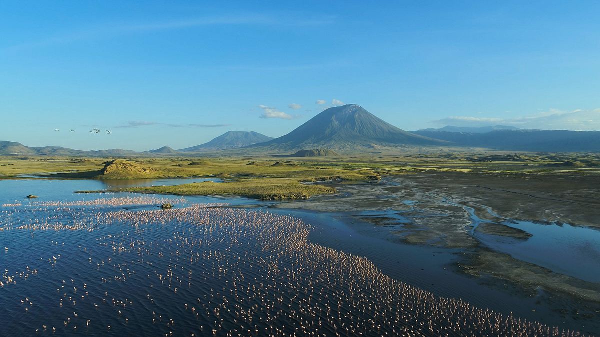 Afrikas Ikonen der Tierwelt afrikas ikonen der tierwelt