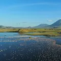Afrikas Ikonen der Tierwelt Thumbnail