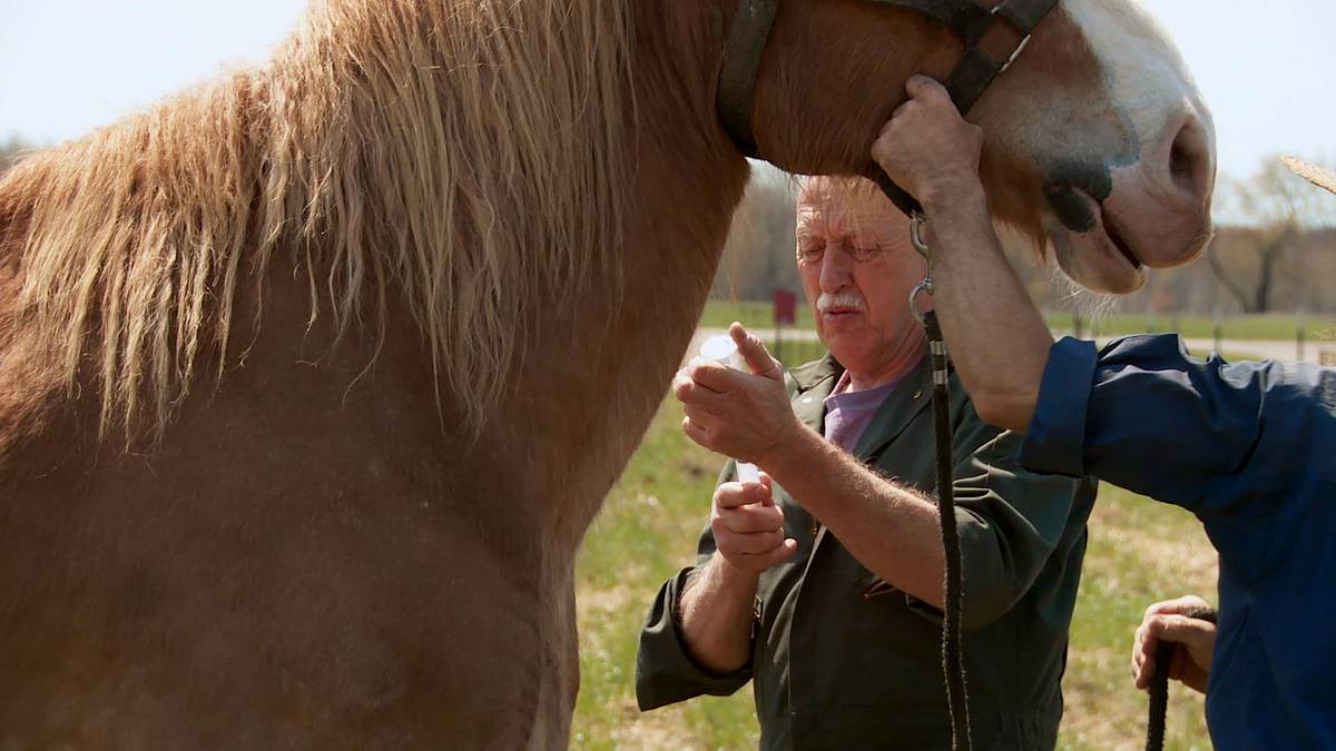 der unglaubliche dr. pol
