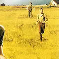 Petrocelli Thumbnail