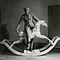 Max Ernst - Der Surrealist und das faschistische Trampeltier Thumbnail