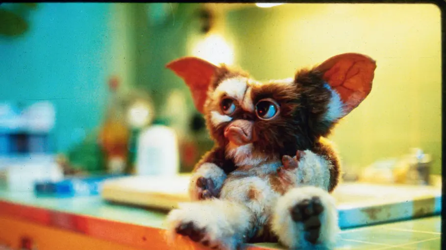 Gremlins - Kleine Monster gremlins - kleine monster