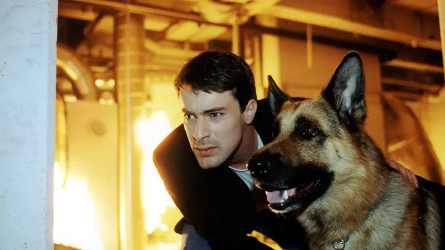 Das deutsche Publikum liebt Krimis & Hunde, „Kommissar Rex“ war somit ein Selbstläufer. Gedeon Burkhard beugt sich neben Schäferhund Kommissar Rex nach vorn. Hinter ihnen lodern Flammen zwischen Rohren.