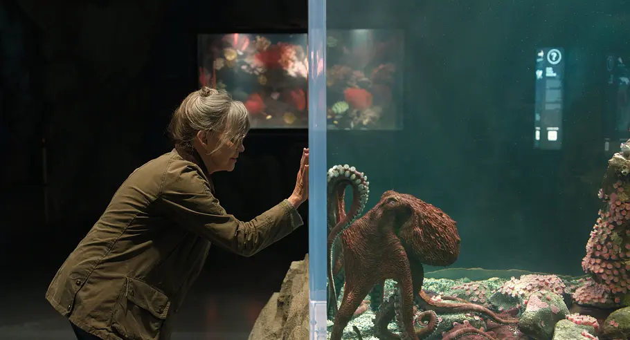 Szene aus der Netflix-Serie „Das Glück hat acht Arme“: Frau am Aquarium mit Oktopus.