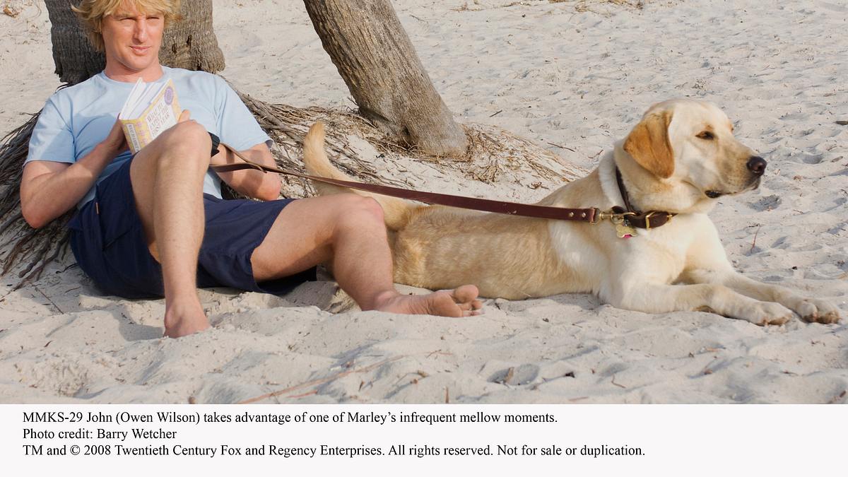 marley und ich