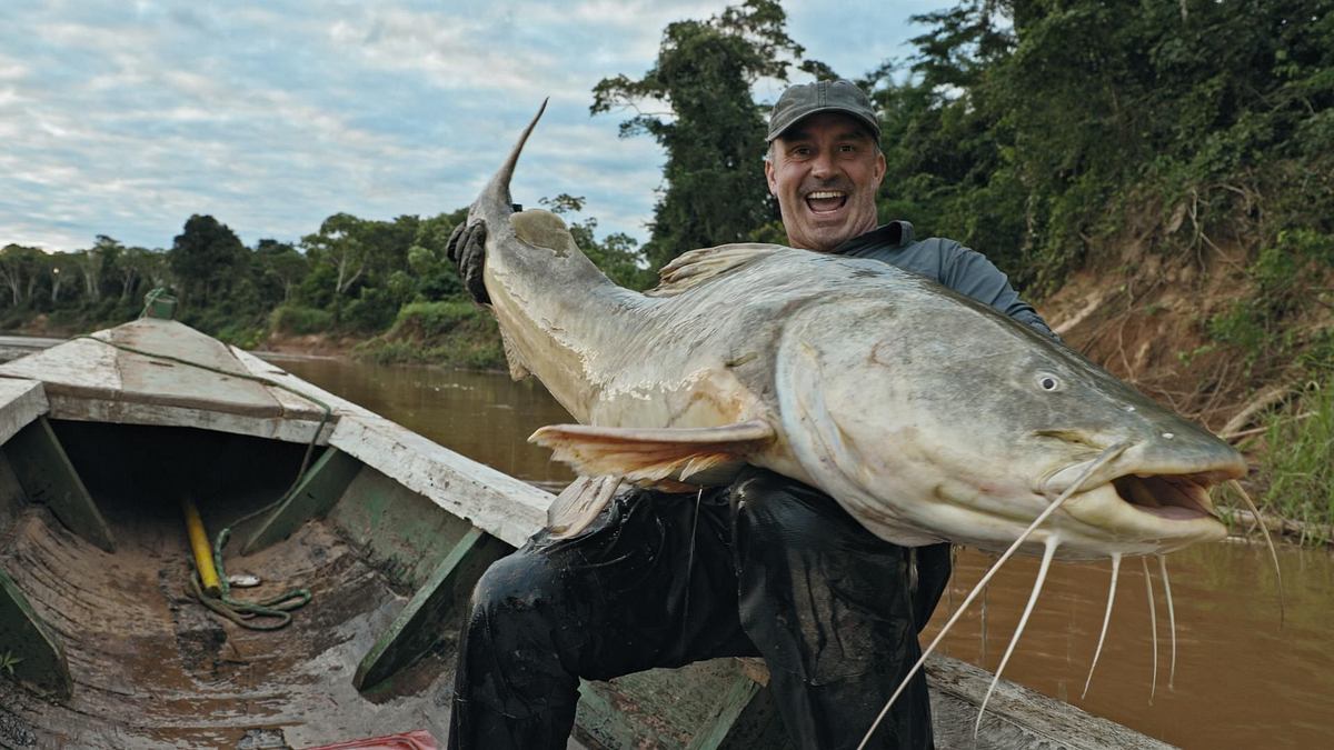 giganten unter wasser - riesenfischen auf der spur