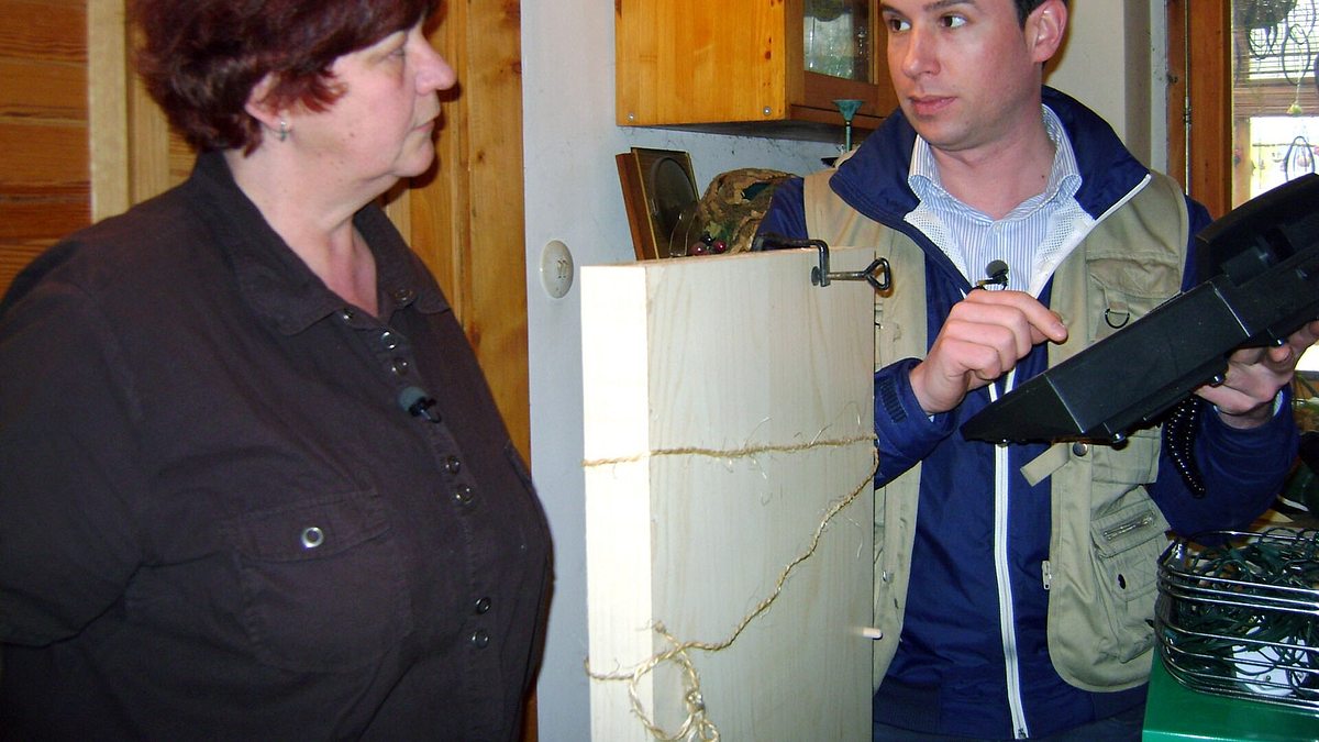 der trödeltrupp - das geld liegt im keller