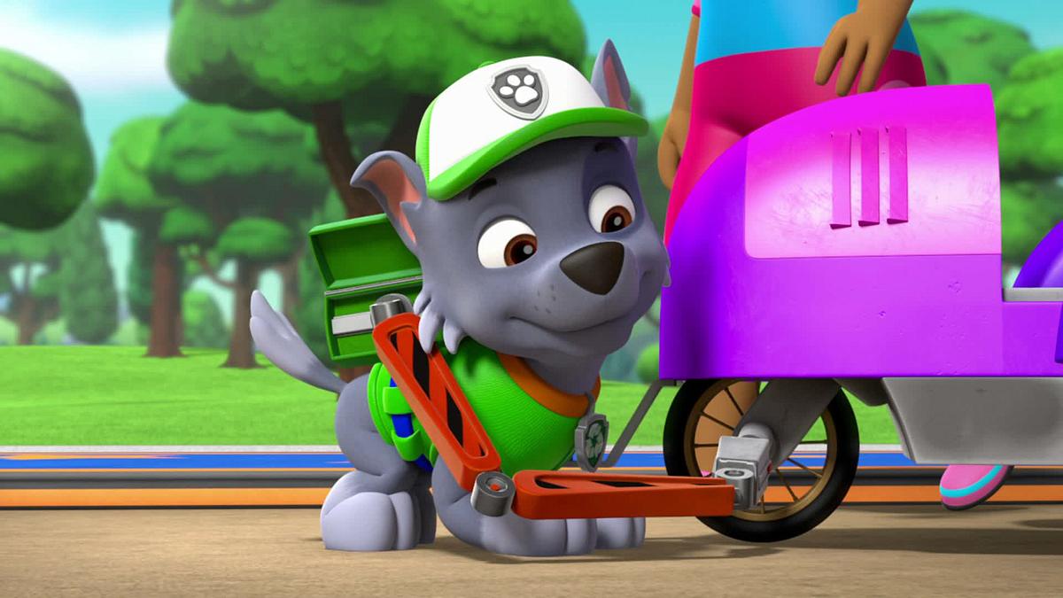 paw patrol - helfer auf vier pfoten