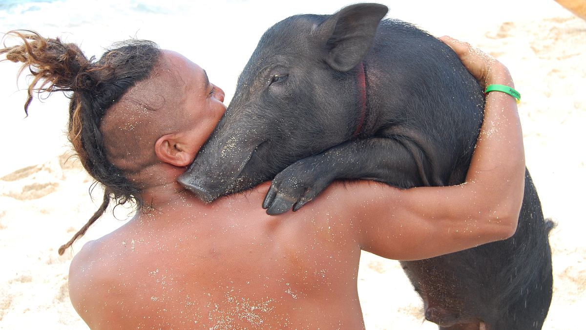 tierische freundschaften