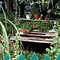 Von Hecke zu Hecke - Bunte Beetgeschichten Thumbnail