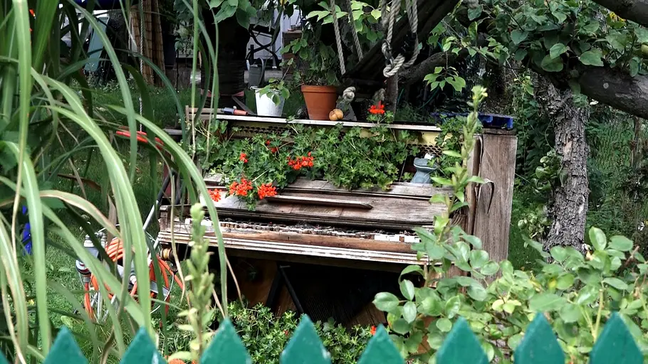 Von Hecke zu Hecke - Bunte Beetgeschichten von hecke zu hecke - bunte beetgeschichten