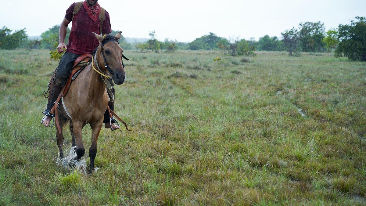 extreme survival mit hazen audel: wettlauf durch den amazonas