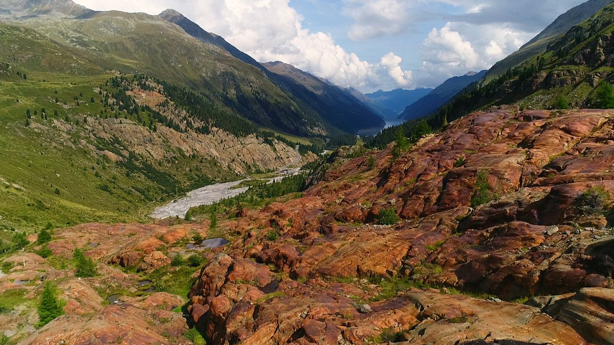 tierwelt der alpen