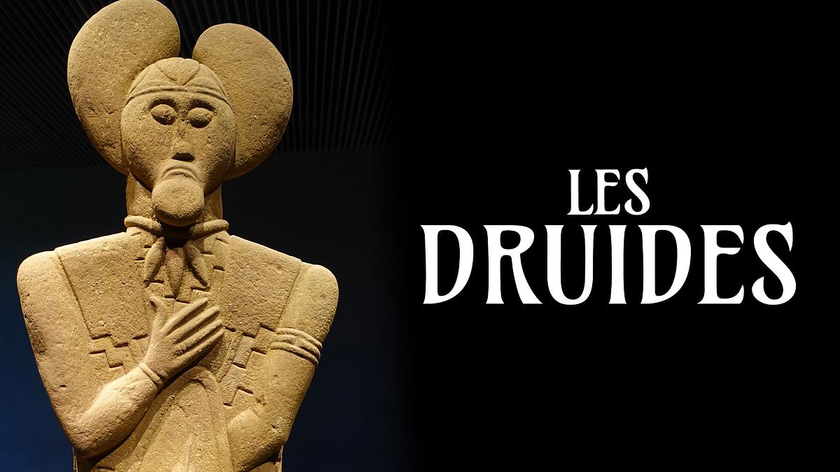 die druiden - geheimnisvolle priester der kelten