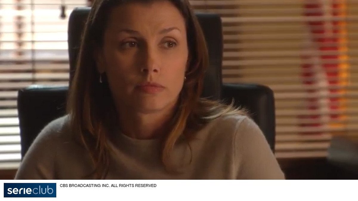 blue bloods - crime scene new york