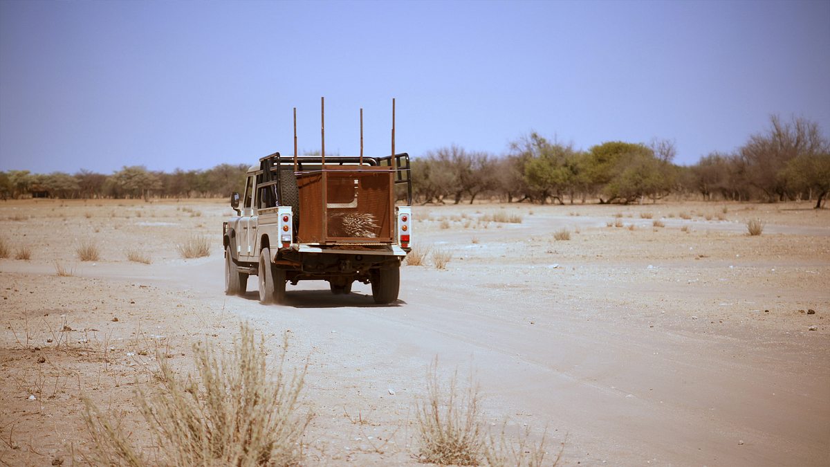OLI's Wilde Welt - In Afrika oli's wilde welt - in afrika